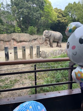 到津の森公園に投稿された画像（2023/5/3）