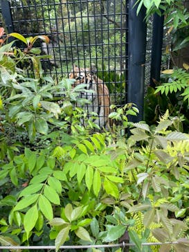 到津の森公園に投稿された画像（2023/5/3）