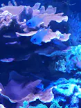 名古屋港水族館に投稿された画像（2023/5/3）