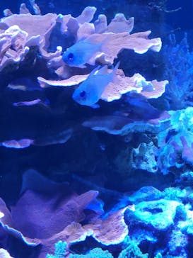 名古屋港水族館に投稿された画像（2023/5/3）