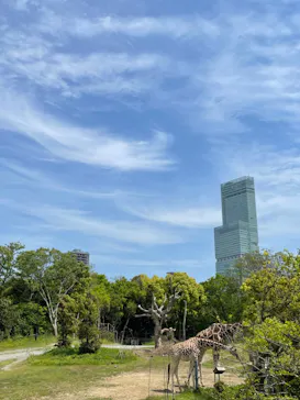 天王寺動物園に投稿された画像（2023/5/3）