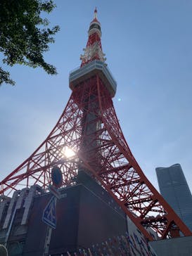 東京タワーに投稿された画像（2023/5/3）
