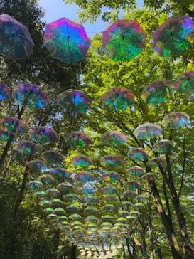 ムーミンバレーパークに投稿された画像（2023/5/3）