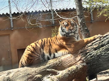 那須どうぶつ王国に投稿された画像（2023/5/3）
