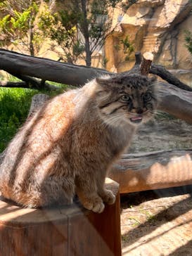 那須どうぶつ王国に投稿された画像（2023/5/3）