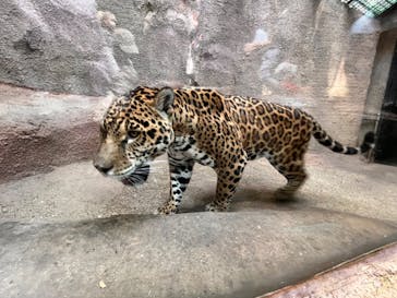 那須どうぶつ王国に投稿された画像（2023/5/3）