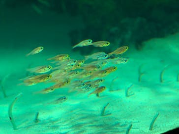 環境水族館アクアマリンふくしまに投稿された画像（2023/5/3）