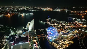 横浜ランドマークタワー 69階展望フロア スカイガーデンに投稿された画像（2023/5/3）