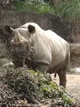 天王寺動物園に投稿された画像（2023/5/3）