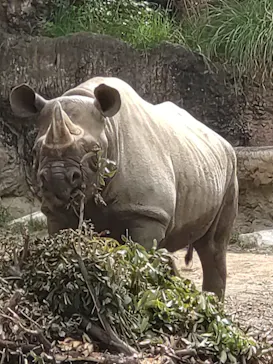 天王寺動物園に投稿された画像（2023/5/3）