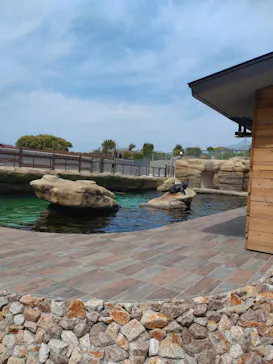 天王寺動物園に投稿された画像（2023/5/3）