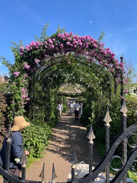 横浜イングリッシュガーデンに投稿された画像（2023/5/3）