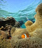 宮古島 ADVENTURE PiPi（ミヤコジマ アドベンチャー ピピ）に投稿された画像（2023/5/4）