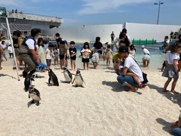 大分マリーンパレス水族館 「うみたまご」に投稿された画像（2023/5/3）