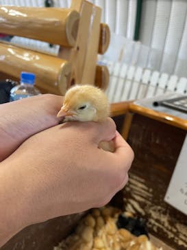 ワールド牧場に投稿された画像（2023/5/3）