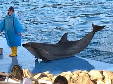 名古屋港水族館に投稿された画像（2023/5/3）
