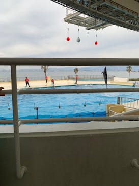 マリンワールド海の中道に投稿された画像（2023/5/3）