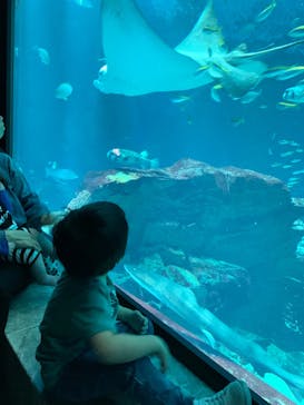 マリンワールド海の中道に投稿された画像（2023/5/3）