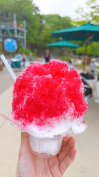 モビリティリゾートもてぎに投稿された画像（2023/5/3）