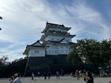 小田原城に投稿された画像（2023/5/3）