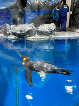越前松島水族館に投稿された画像（2023/5/3）