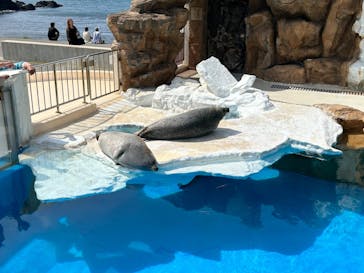 越前松島水族館に投稿された画像（2023/5/3）