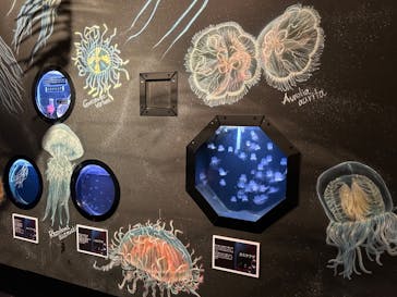 越前松島水族館に投稿された画像（2023/5/3）