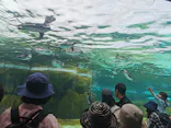天王寺動物園に投稿された画像（2023/5/4）
