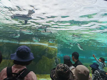 天王寺動物園に投稿された画像（2023/5/3）