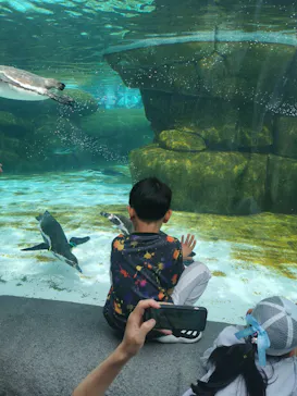 天王寺動物園に投稿された画像（2023/5/3）