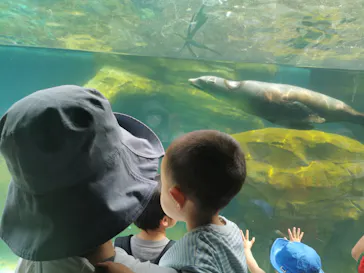 天王寺動物園に投稿された画像（2023/5/3）
