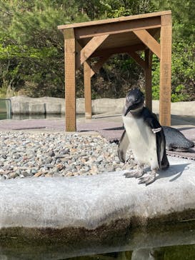 那須どうぶつ王国に投稿された画像（2023/5/3）