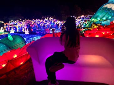 伊豆ぐらんぱる公園に投稿された画像（2023/5/3）