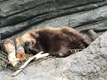 仙台うみの杜水族館に投稿された画像（2023/5/4）