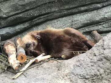 仙台うみの杜水族館に投稿された画像（2023/5/3）