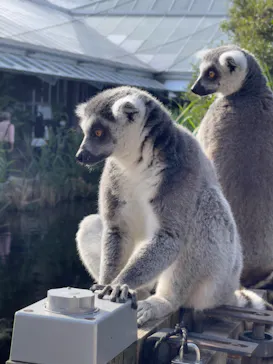 神戸どうぶつ王国に投稿された画像（2023/5/3）