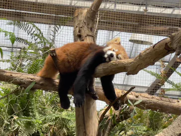 神戸どうぶつ王国に投稿された画像（2023/5/3）