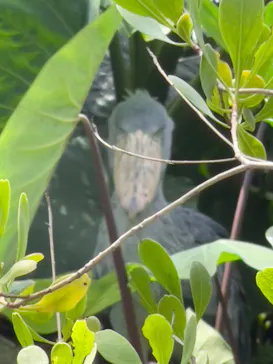 神戸どうぶつ王国に投稿された画像（2023/5/3）