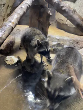 神戸どうぶつ王国に投稿された画像（2023/5/3）