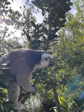 神戸どうぶつ王国に投稿された画像（2023/5/3）