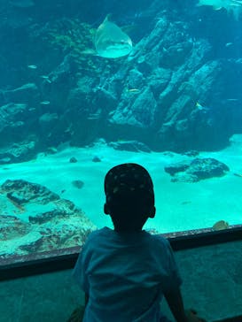 マリンワールド海の中道に投稿された画像（2023/5/3）