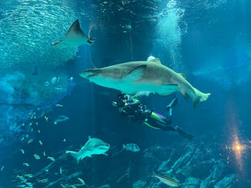 マリンワールド海の中道に投稿された画像（2023/5/3）