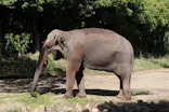 よこはま動物園ズーラシアに投稿された画像（2023/5/4）