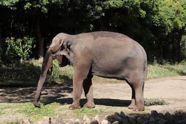 よこはま動物園ズーラシアに投稿された画像（2023/5/3）