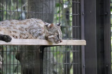 よこはま動物園ズーラシアに投稿された画像（2023/5/3）