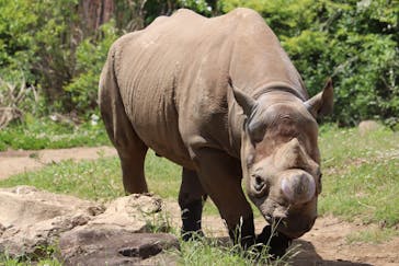 よこはま動物園ズーラシアに投稿された画像（2023/5/3）