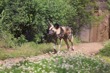 よこはま動物園ズーラシアに投稿された画像（2023/5/3）