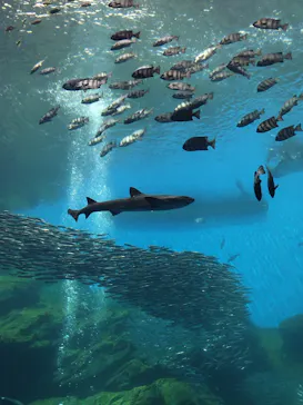 仙台うみの杜水族館に投稿された画像（2023/5/3）