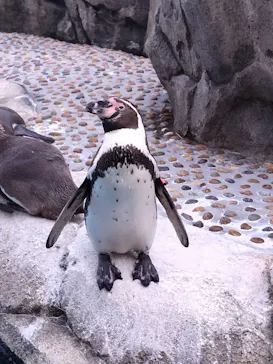 仙台うみの杜水族館に投稿された画像（2023/5/3）