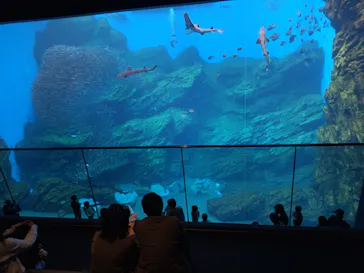 仙台うみの杜水族館に投稿された画像（2023/5/3）
